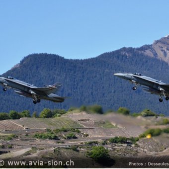 CR  2015 sur FA-18 & Tiger (124)