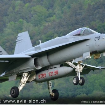 CR  2015 sur FA-18 & Tiger (342)