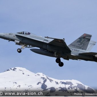 CR  2015 sur FA-18 & Tiger (240)