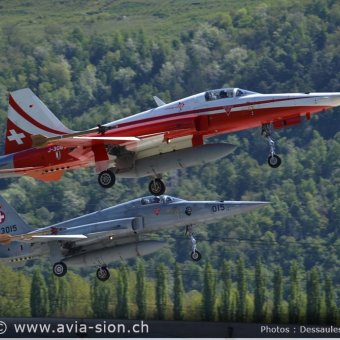 CR  2015 sur FA-18 & Tiger (070)