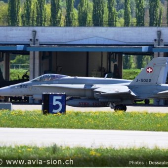 CR  2015 sur FA-18 & Tiger (051)
