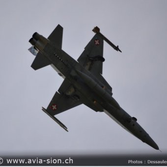CR  2015 sur FA-18 & Tiger (136)