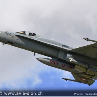 CR  2015 sur FA-18 & Tiger (411)