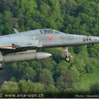 CR  2015 sur FA-18 & Tiger (327)