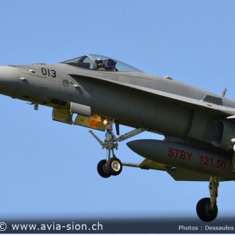 CR  2015 sur FA-18 & Tiger (044)