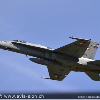 CR  2015 sur FA-18 & Tiger (314)