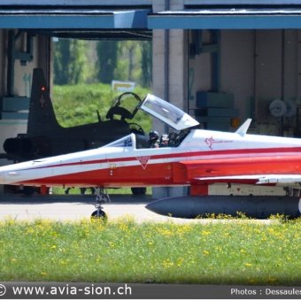 CR  2015 sur FA-18 & Tiger (056)