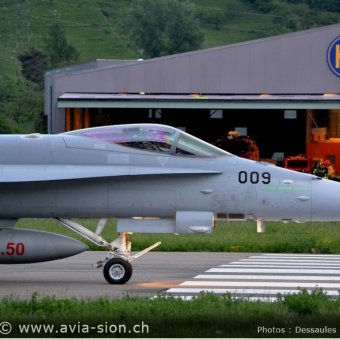 CR  2015 sur FA-18 & Tiger (360)