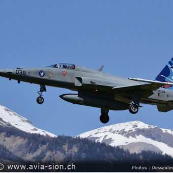 CR  2015 sur FA-18 & Tiger (092)