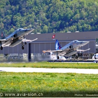 CR  2015 sur FA-18 & Tiger (071)
