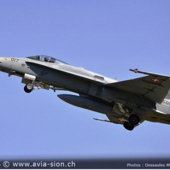 CR  2015 sur FA-18 & Tiger (308)