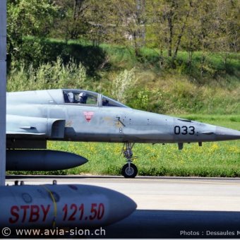 CR  2015 sur FA-18 & Tiger (106)