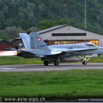 CR  2015 sur FA-18 & Tiger (366)