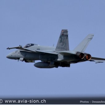 CR  2015 sur FA-18 & Tiger (243)