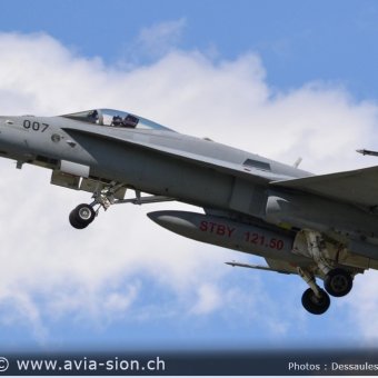 CR  2015 sur FA-18 & Tiger (394)