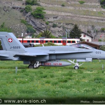 CR  2015 sur FA-18 & Tiger (156)