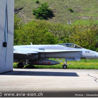 CR  2015 sur FA-18 & Tiger (413)