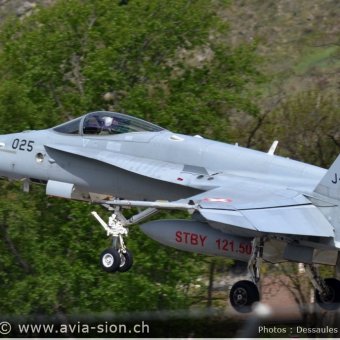 CR  2015 sur FA-18 & Tiger (178)