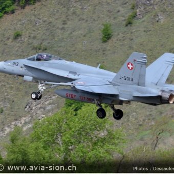 CR  2015 sur FA-18 & Tiger (164)