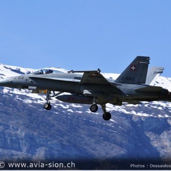 CR  2015 sur FA-18 & Tiger (121)