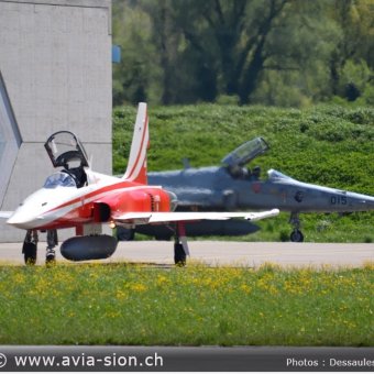 CR  2015 sur FA-18 & Tiger (055)