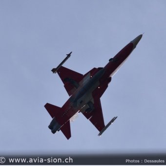 CR  2015 sur FA-18 & Tiger (131)