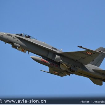 CR  2015 sur FA-18 & Tiger (033)