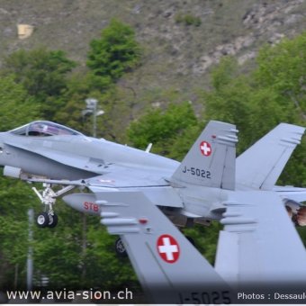 CR  2015 sur FA-18 & Tiger (155)