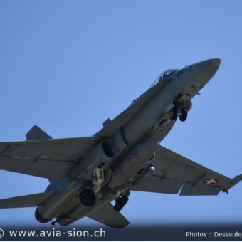 CR  2015 sur FA-18 & Tiger (064)