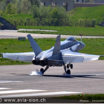 CR  2015 sur FA-18 & Tiger (023)