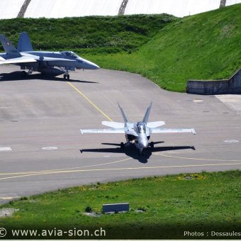 CR  2015 sur FA-18 & Tiger (002)