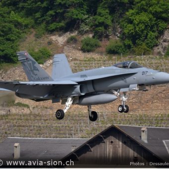 CR  2015 sur FA-18 & Tiger (216)