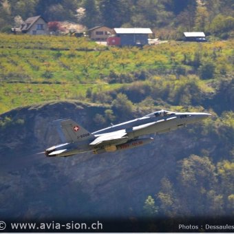CR  2015 sur FA-18 & Tiger (014)