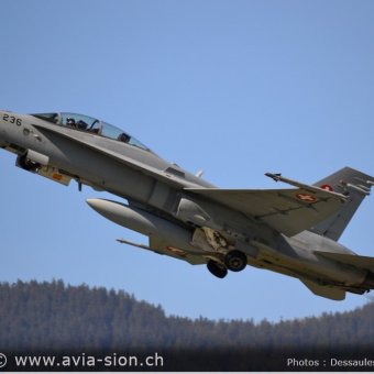 CR  2015 sur FA-18 & Tiger (036)