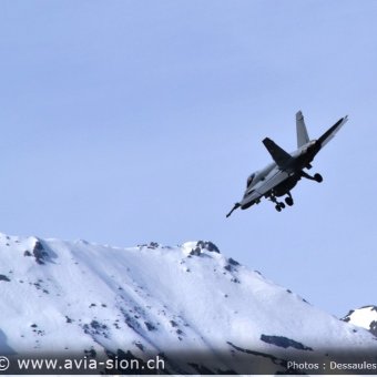 CR  2015 sur FA-18 & Tiger (140)