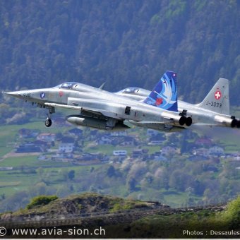 CR  2015 sur FA-18 & Tiger (111)