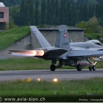 CR  2015 sur FA-18 & Tiger (370)