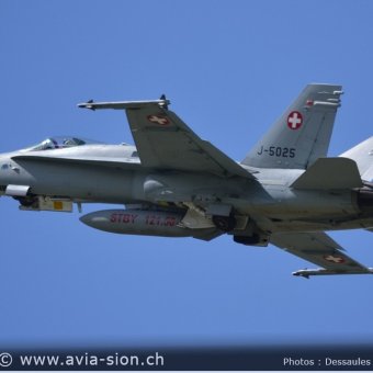 CR  2015 sur FA-18 & Tiger (429)