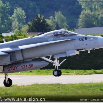 CR  2015 sur FA-18 & Tiger (289)