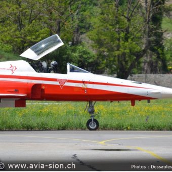 CR  2015 sur FA-18 & Tiger (399)