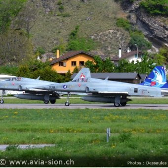 CR  2015 sur FA-18 & Tiger (160)