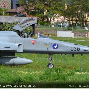 CR  2015 sur FA-18 & Tiger (147)