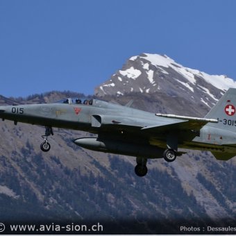 CR  2015 sur FA-18 & Tiger (086)