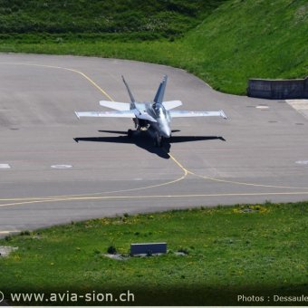 CR  2015 sur FA-18 & Tiger (001)