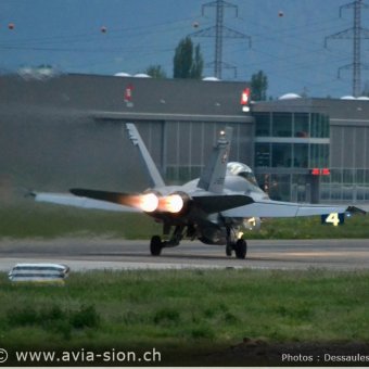CR  2015 sur FA-18 & Tiger (380)
