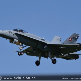 CR  2015 sur FA-18 & Tiger (077)