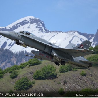 CR  2015 sur FA-18 & Tiger (419)