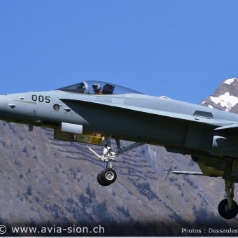 CR  2015 sur FA-18 & Tiger (079)