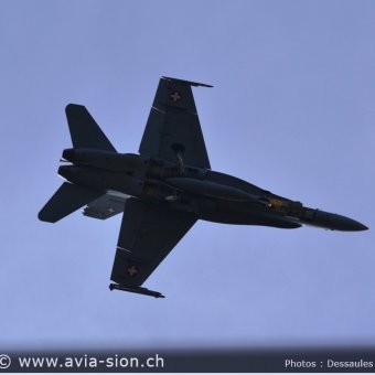 CR  2015 sur FA-18 & Tiger (138)