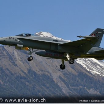 CR  2015 sur FA-18 & Tiger (047)